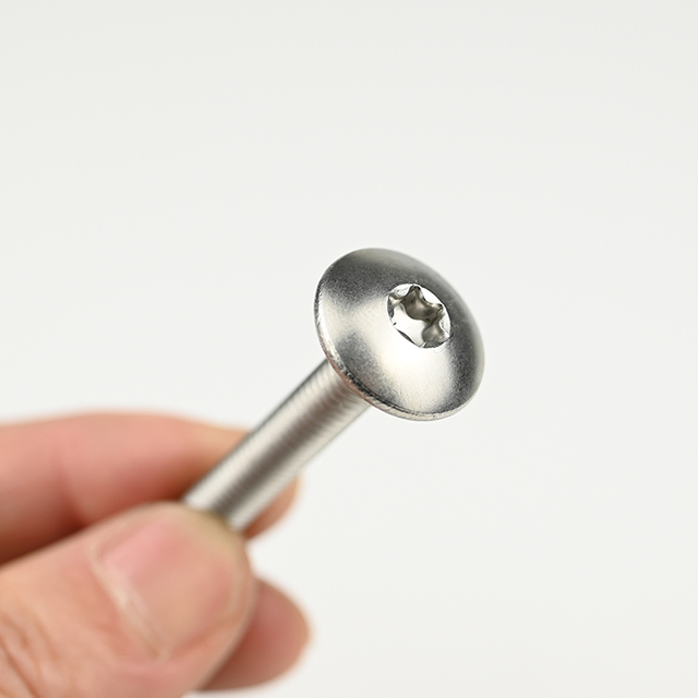 SUS304 Самонарезающий винт Torx с ферменной головкой ST6-1,0*40